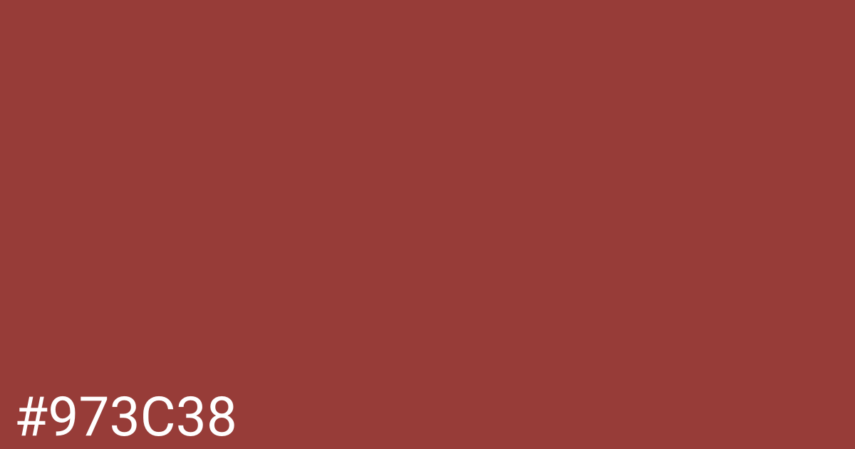 Hex color #973c38 graphic