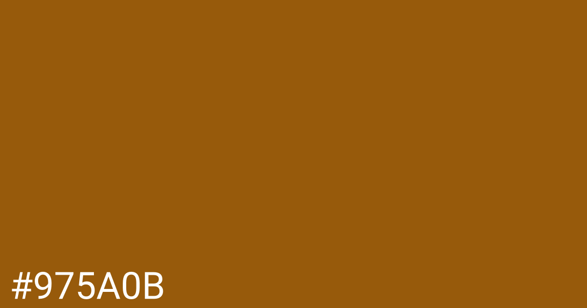 Hex color #975a0b graphic
