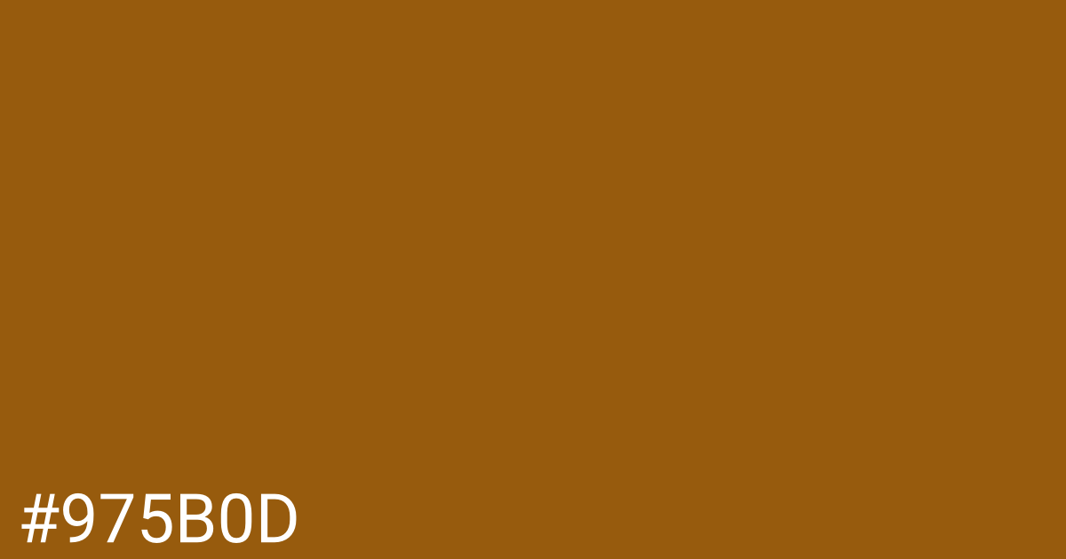 Hex color #975b0d graphic