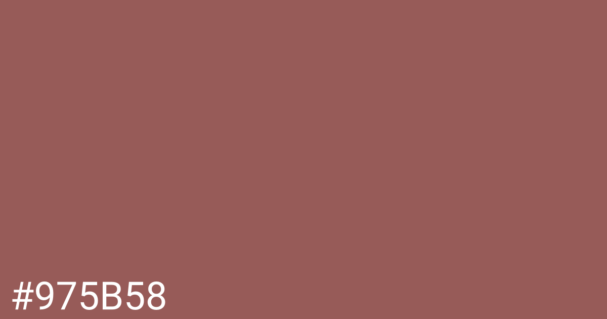 Hex color #975b58 graphic