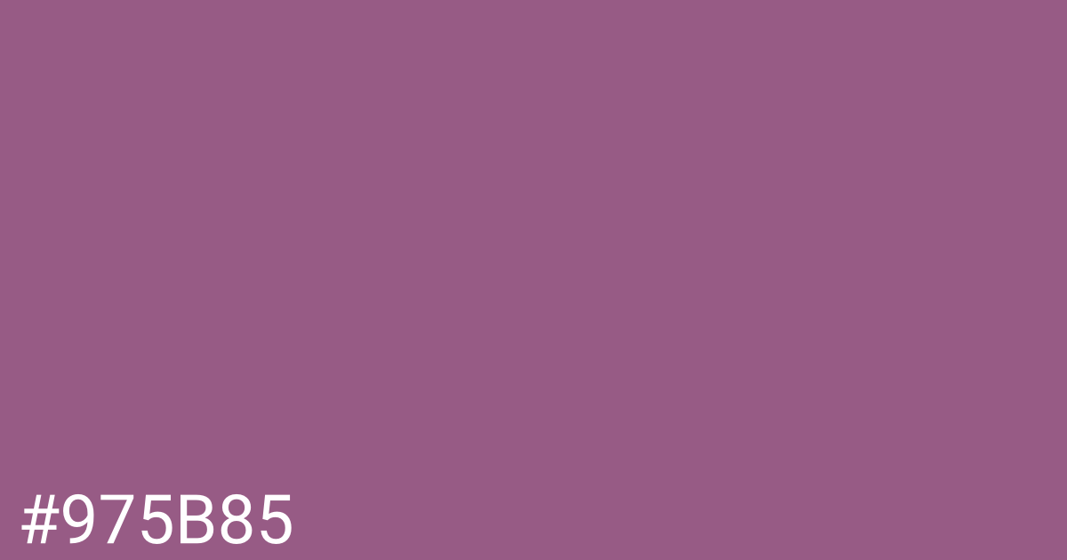 Hex color #975b85 graphic