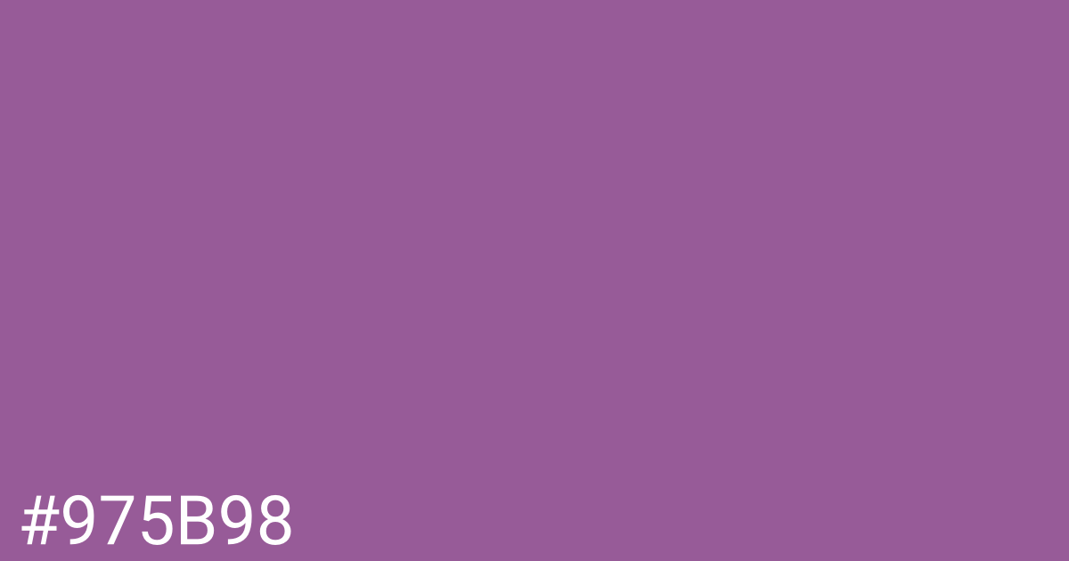 Hex color #975b98 graphic