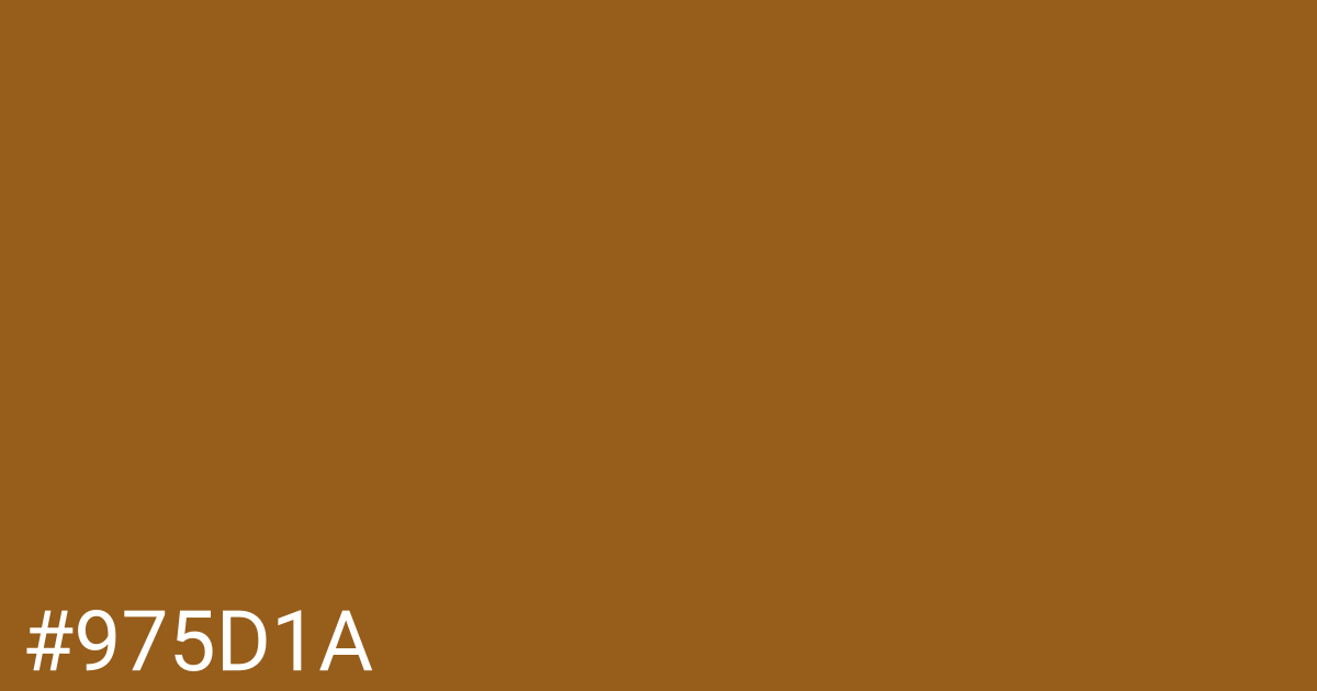 Hex color #975d1a graphic