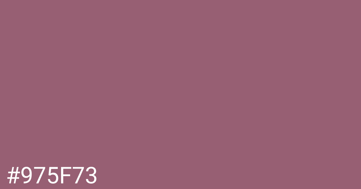 Hex color #975f73 graphic