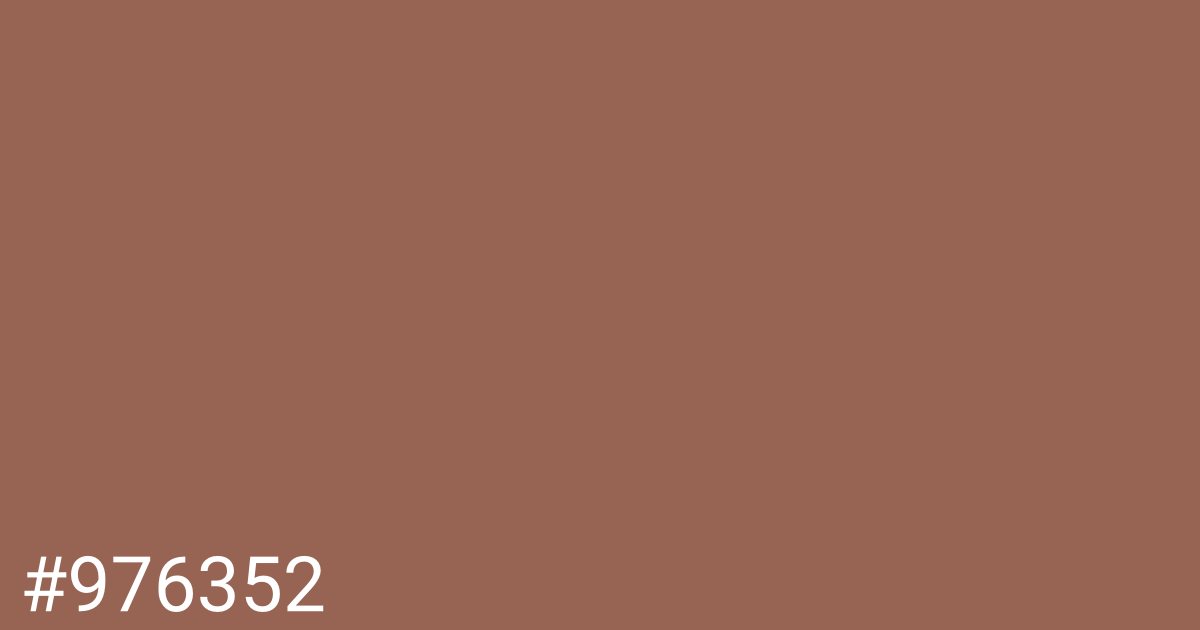Hex color #976352 graphic