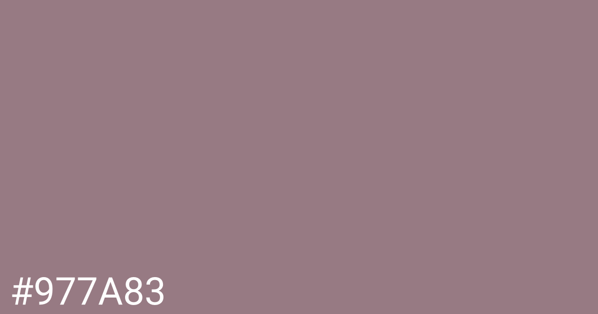 Hex color #977a83 graphic