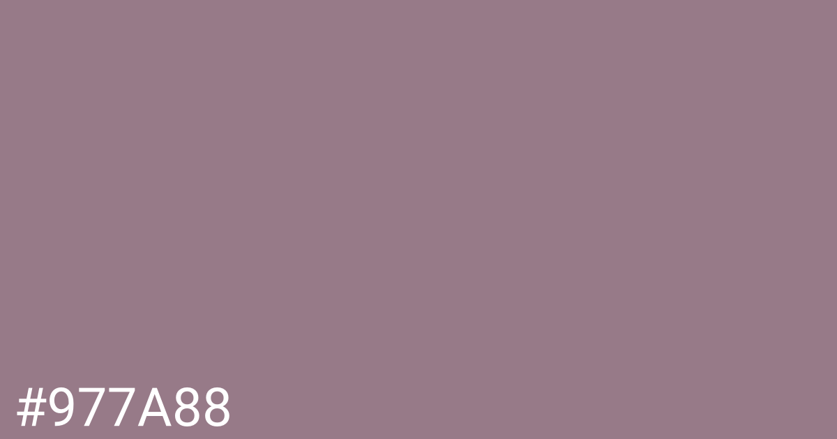 Hex color #977a88 graphic