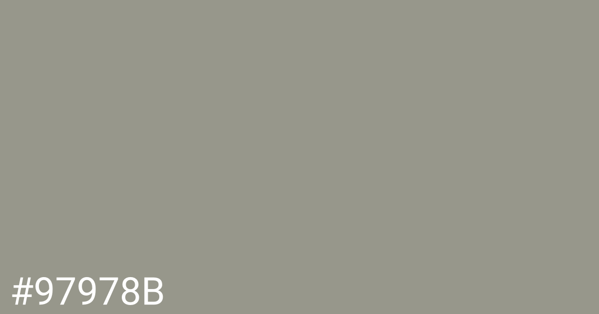 Hex color #97978b graphic