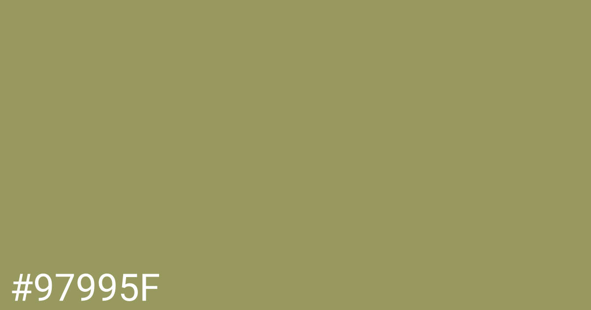 Hex color #97995f graphic