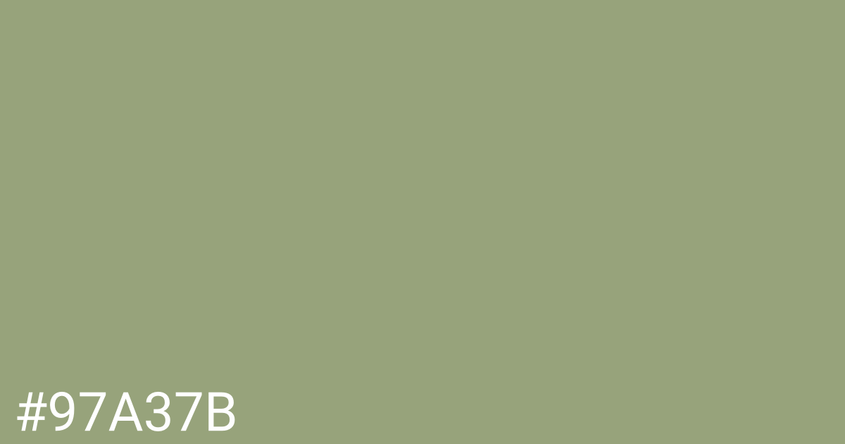 Hex color #97a37b graphic