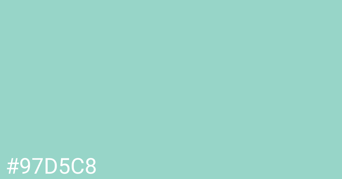 Hex color #97d5c8 graphic