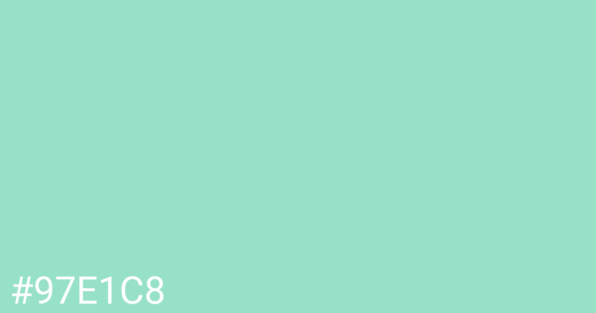 Hex color #97e1c8 graphic