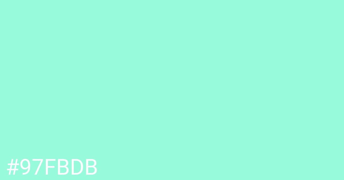 Hex color #97fbdb graphic