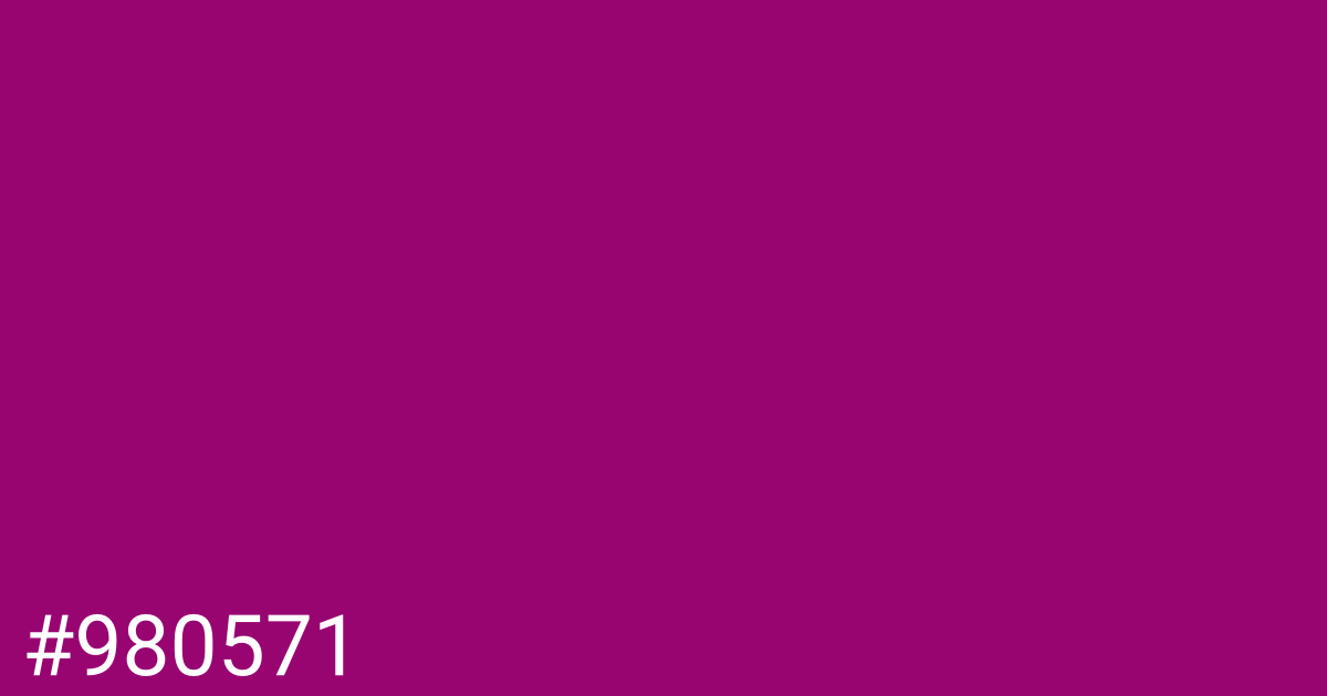 Hex color #980571 graphic