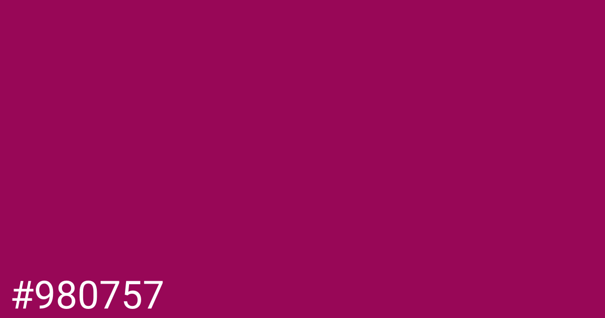 Hex color #980757 graphic