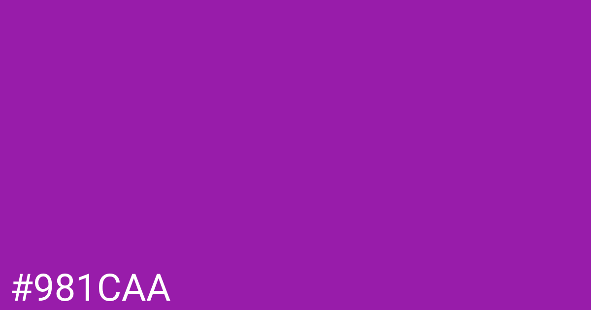 Hex color #981caa graphic
