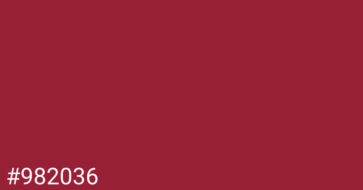 Hex color #982036 graphic