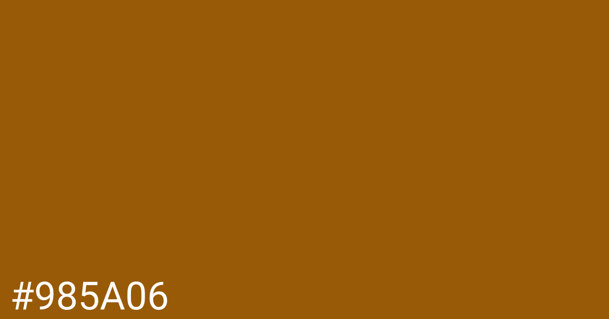 Hex color #985a06 graphic