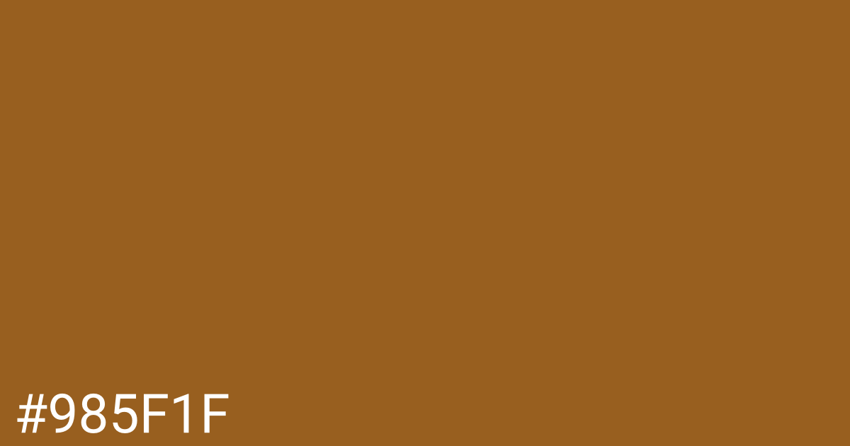Hex color #985f1f graphic
