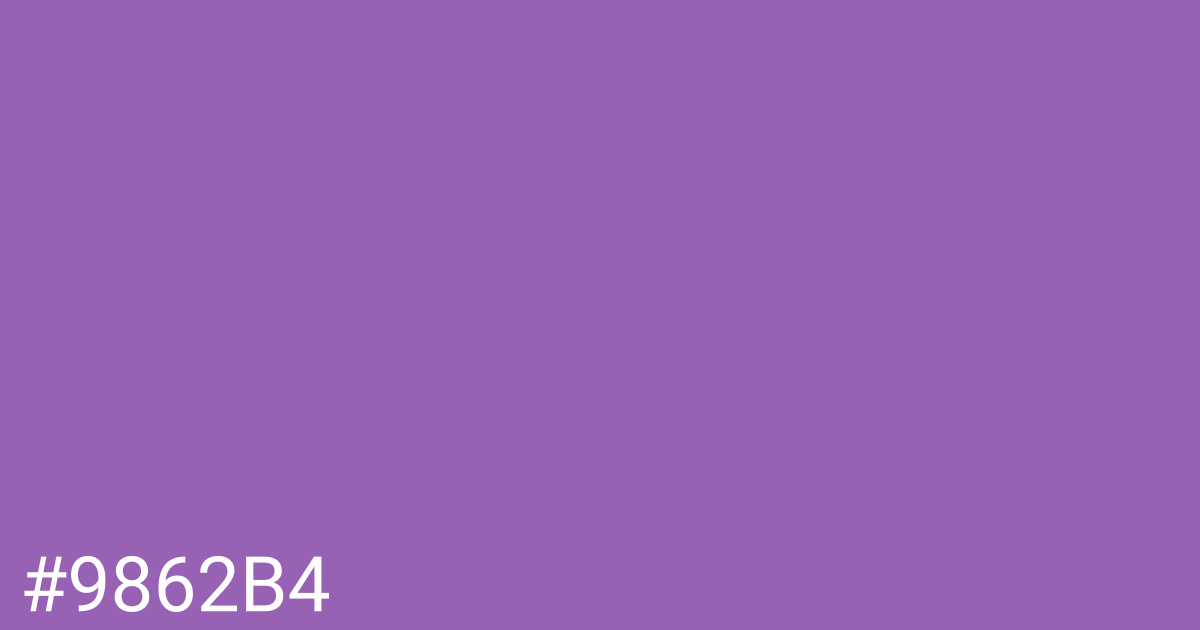 Hex color #9862b4 graphic