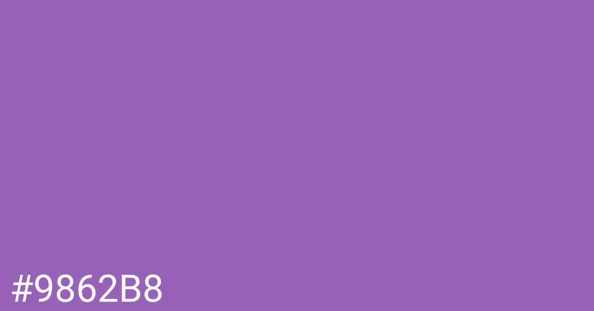 Hex color #9862b8 graphic