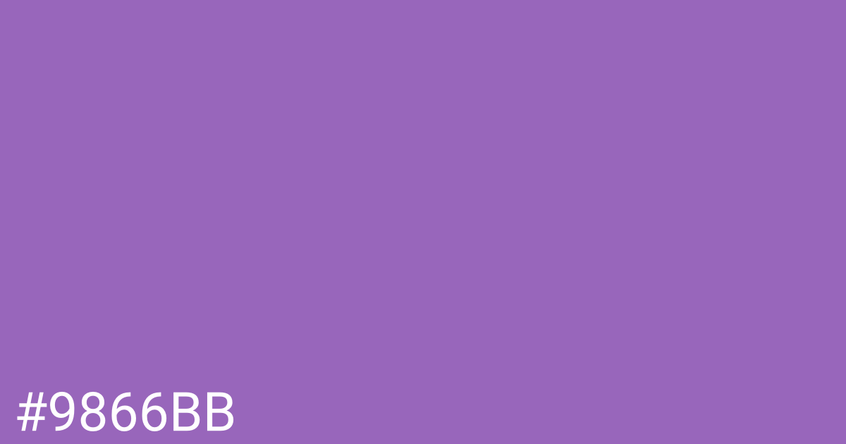 Hex color #9866bb graphic