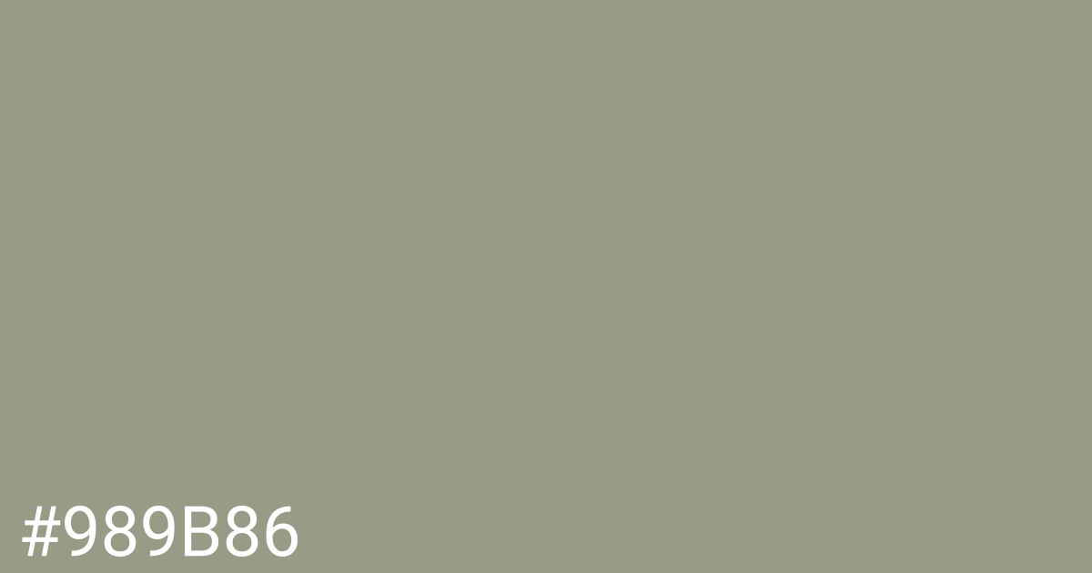 Hex color #989b86 graphic