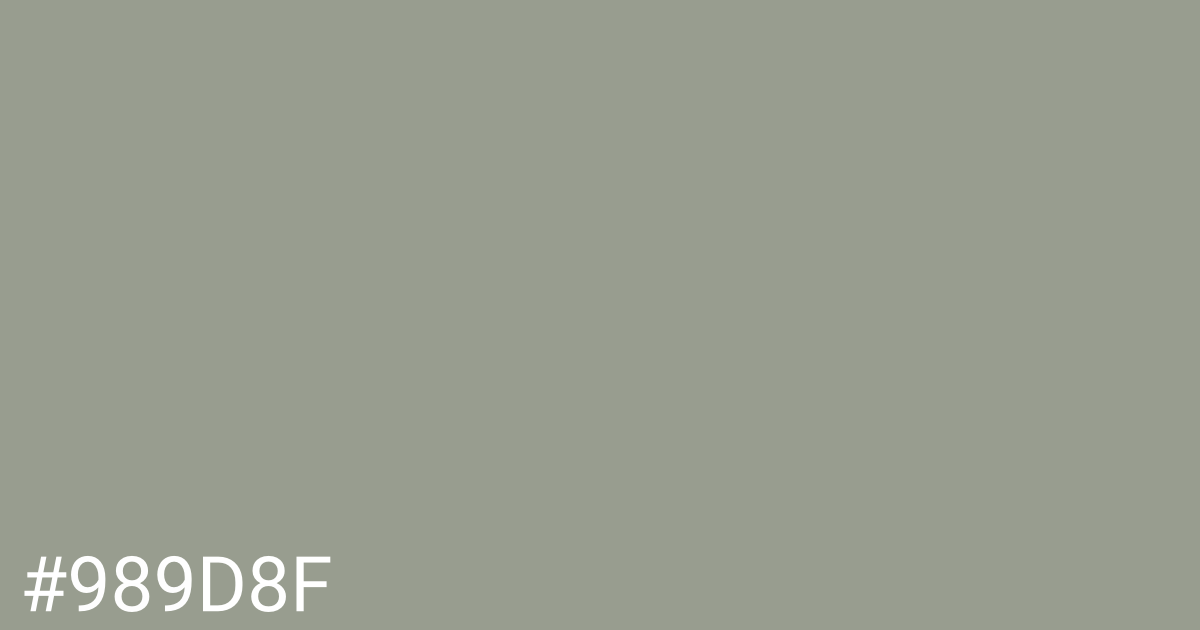 Hex color #989d8f graphic