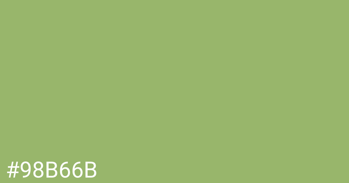 Hex color #98b66b graphic