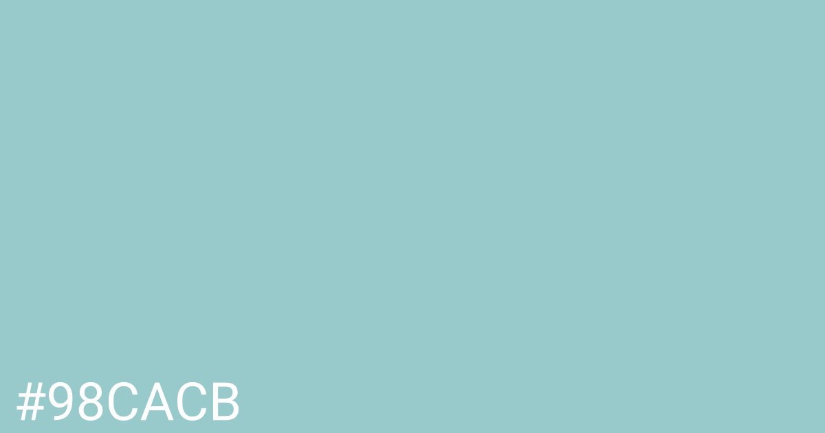 Hex color #98cacb graphic