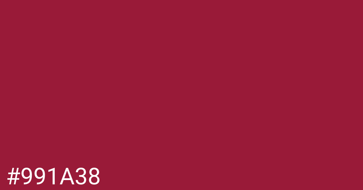 Hex color #991a38 graphic