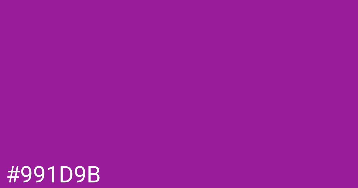 Hex color #991d9b graphic