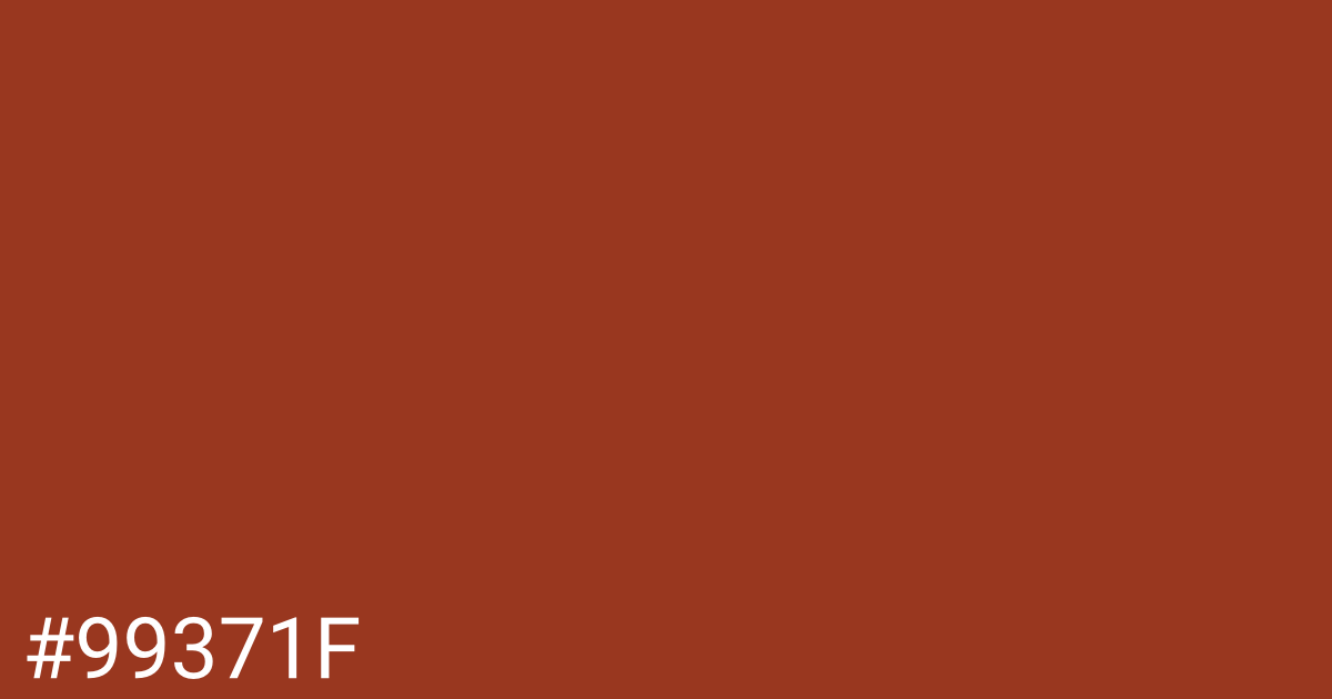 Hex color #99371f graphic