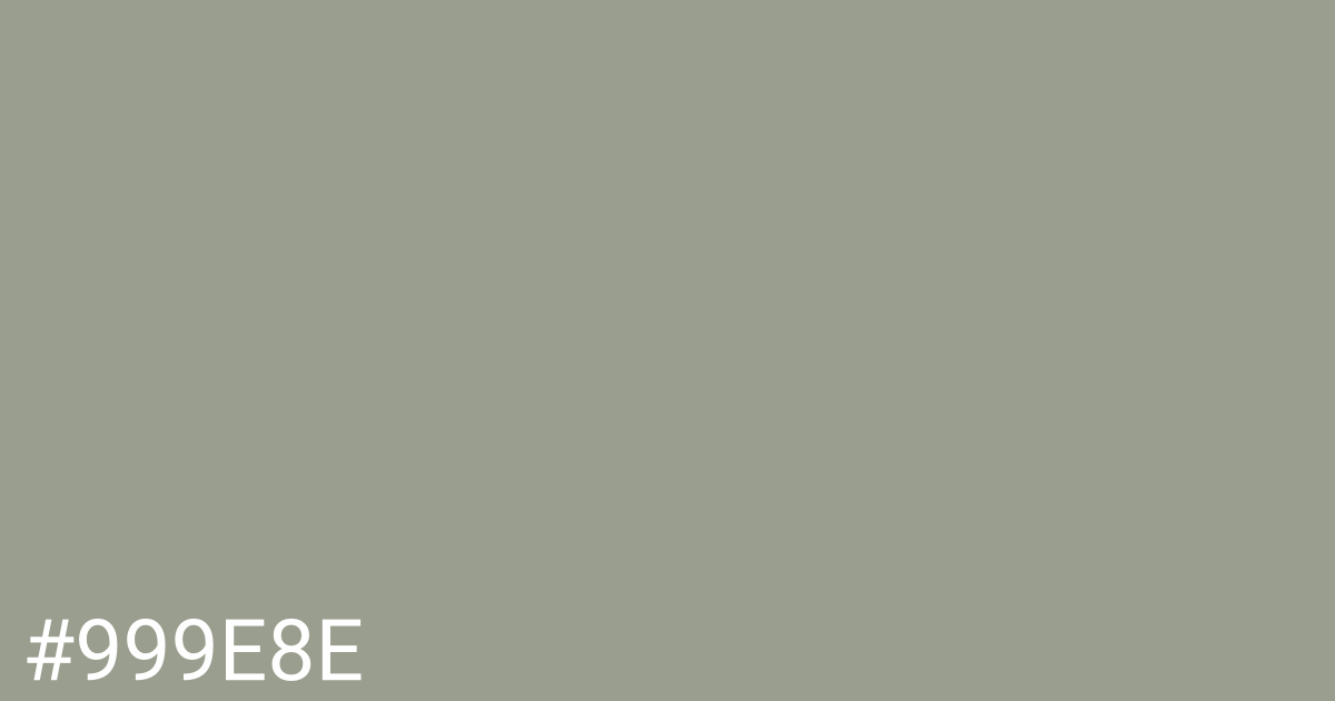 Hex color #999e8e graphic
