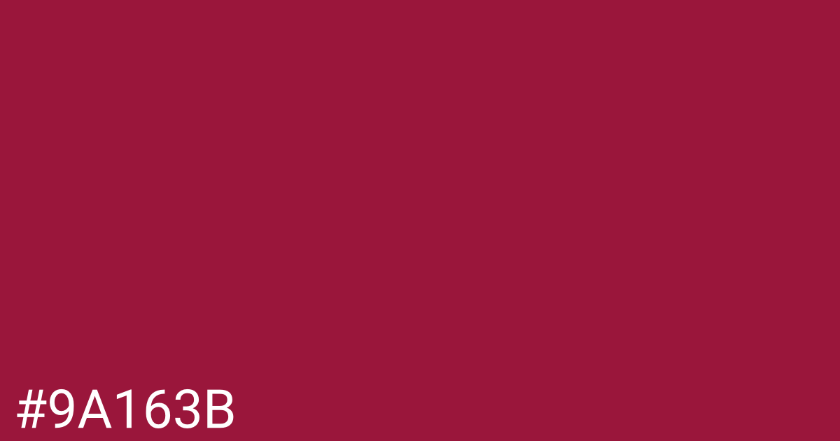 Hex color #9a163b graphic
