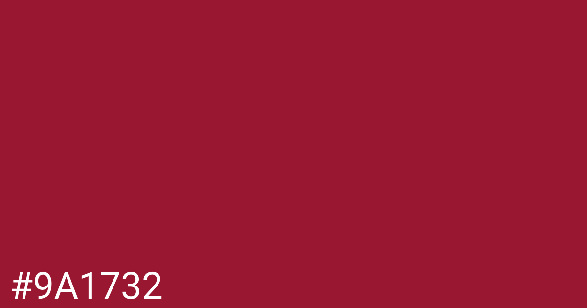 Hex color #9a1732 graphic