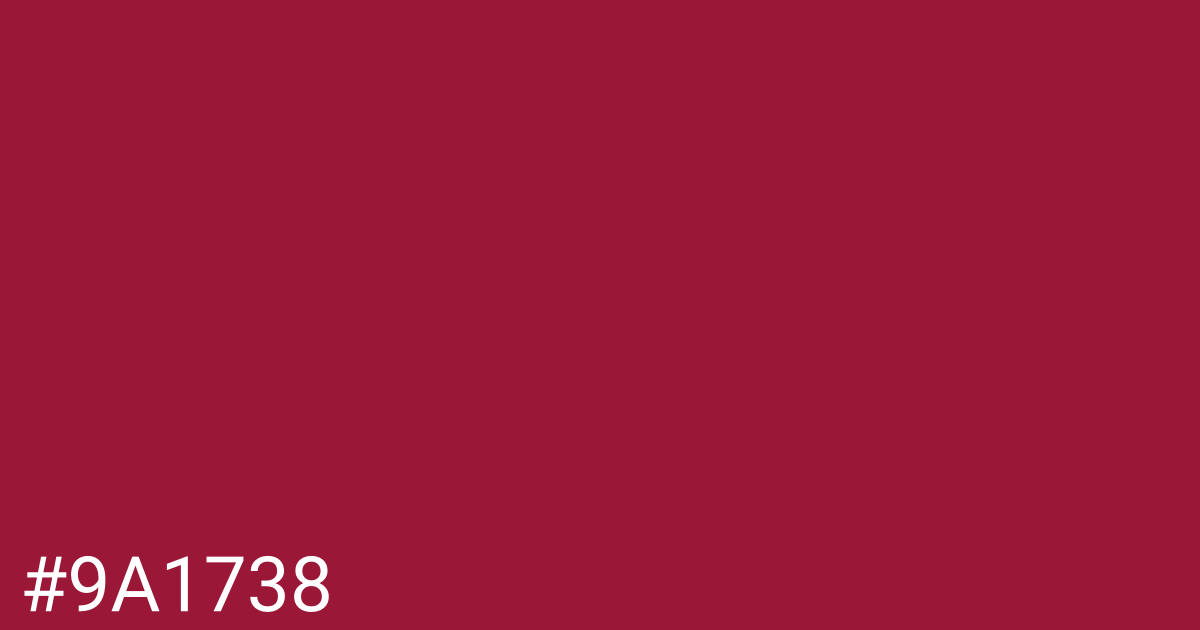 Hex color #9a1738 graphic