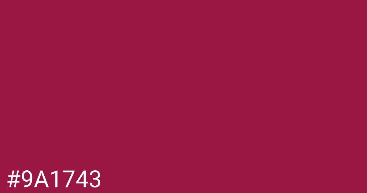 Hex color #9a1743 graphic