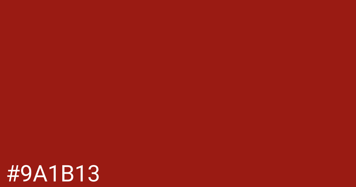 Hex color #9a1b13 graphic