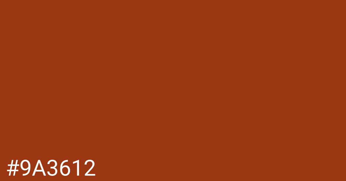 Hex color #9a3612 graphic