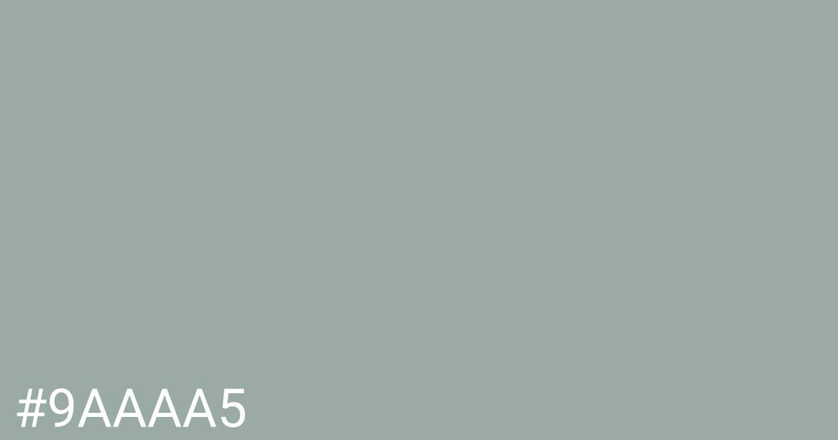 Hex color #9aaaa5 graphic