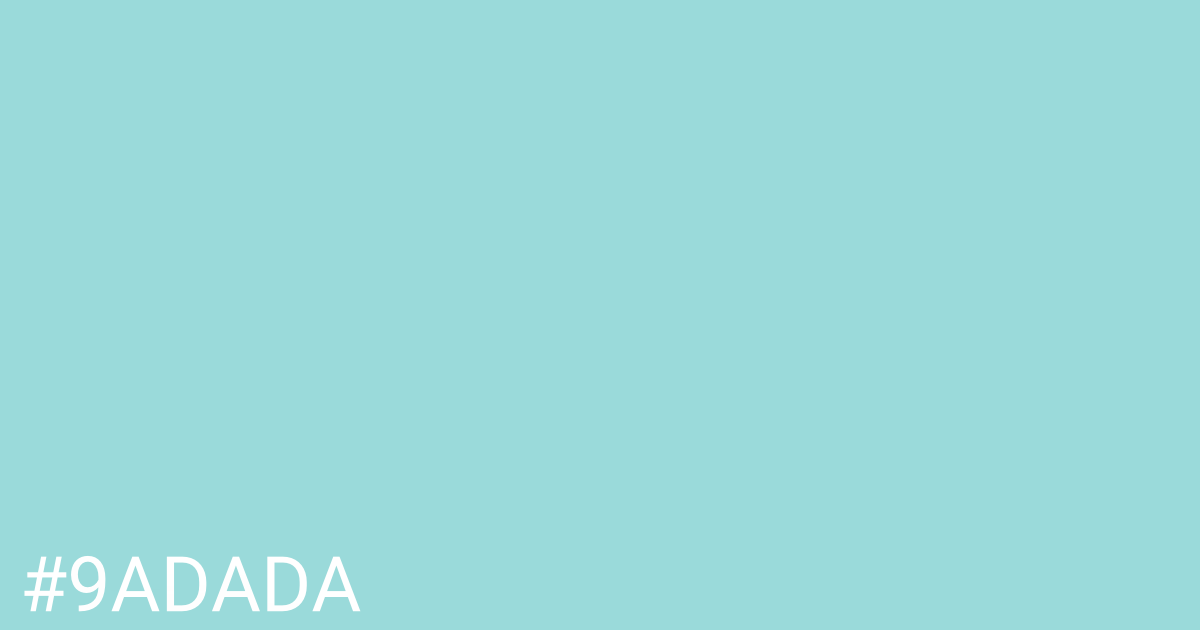 Hex color #9adada graphic