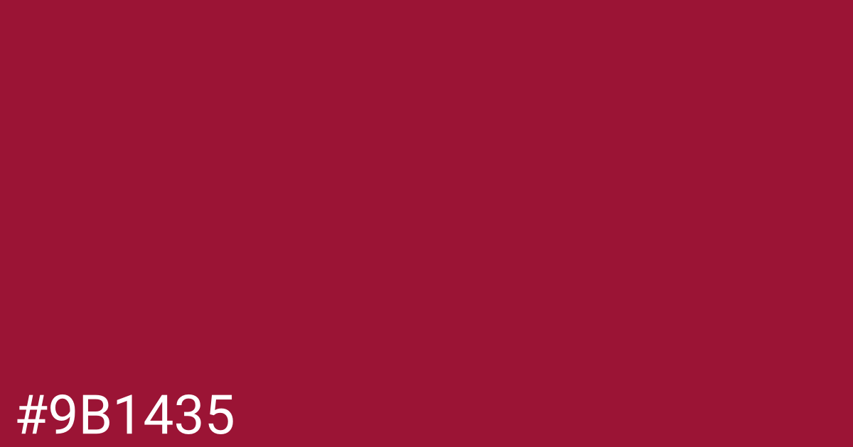 Hex color #9b1435 graphic