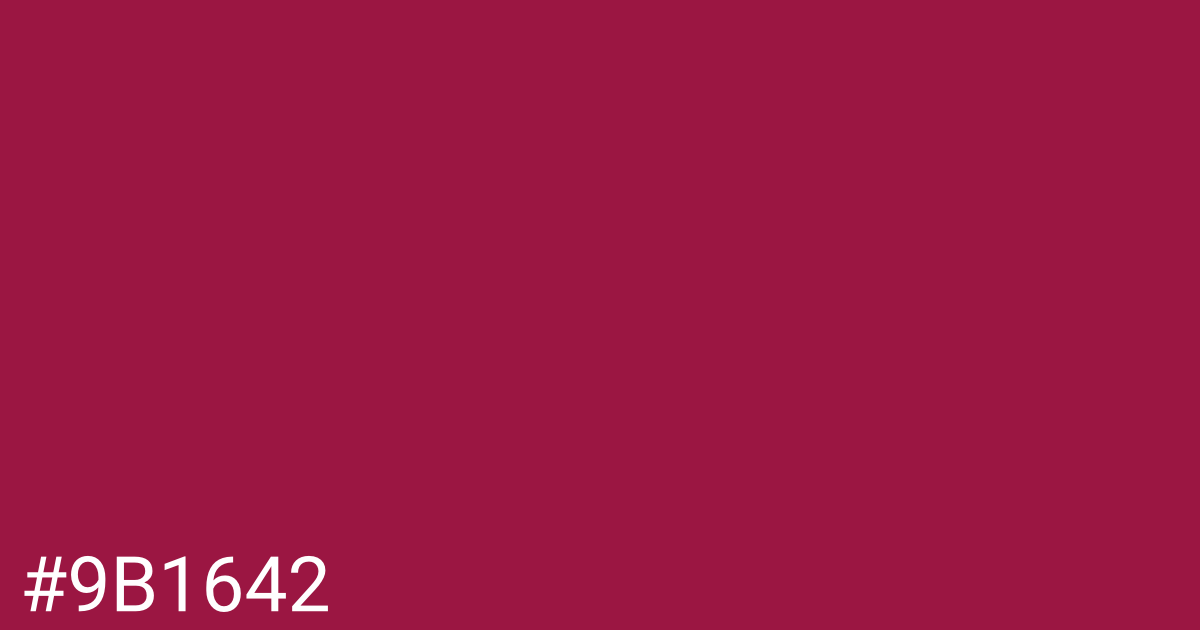 Hex color #9b1642 graphic