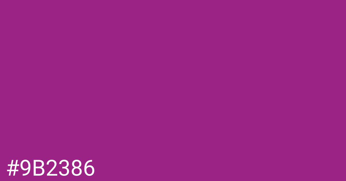 Hex color #9b2386 graphic