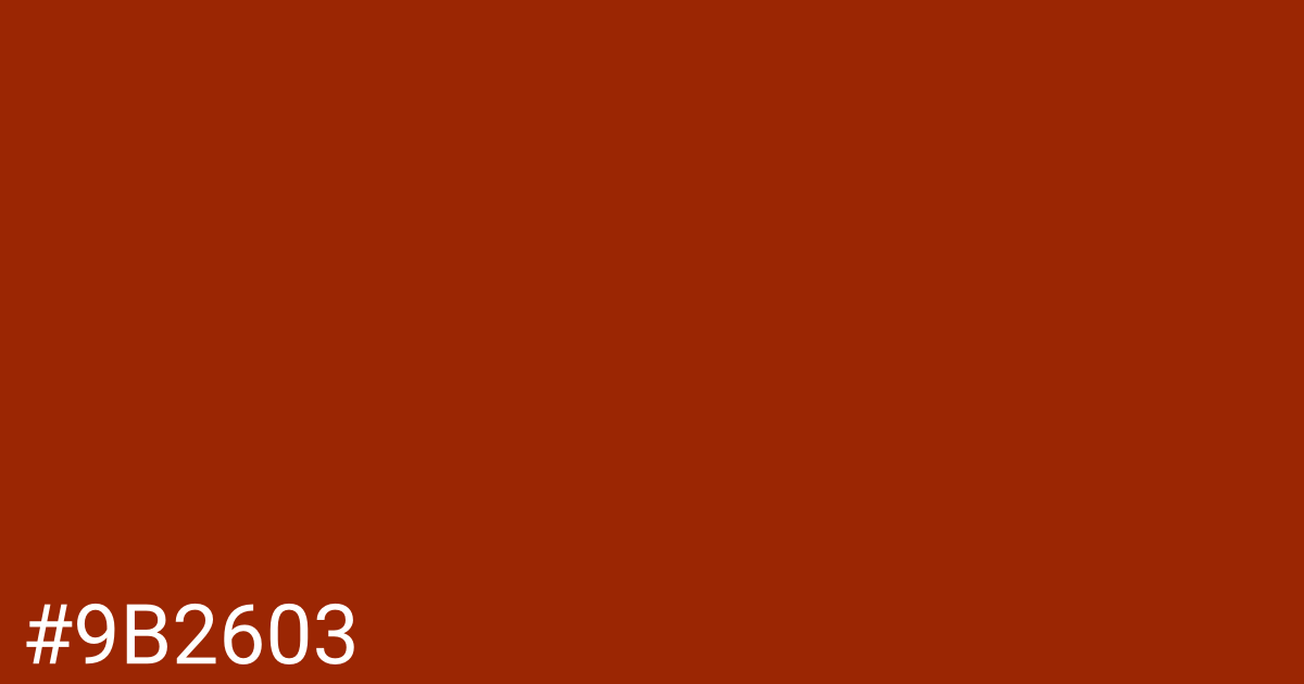 Hex color #9b2603 graphic