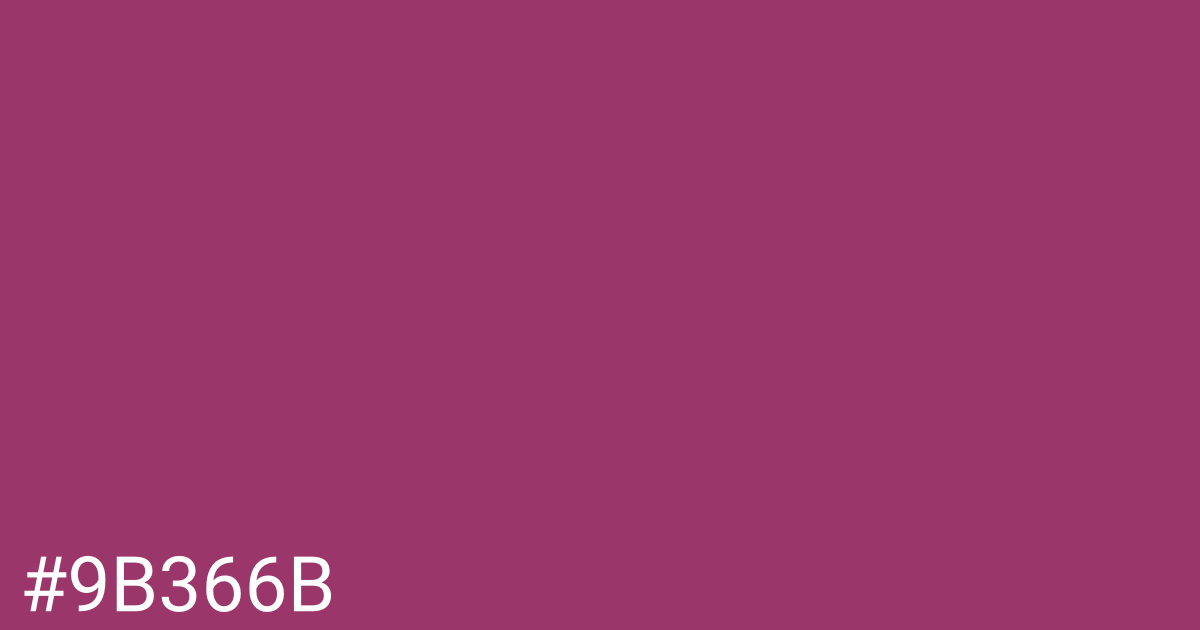 Hex color #9b366b graphic