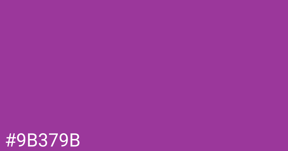 Hex color #9b379b graphic