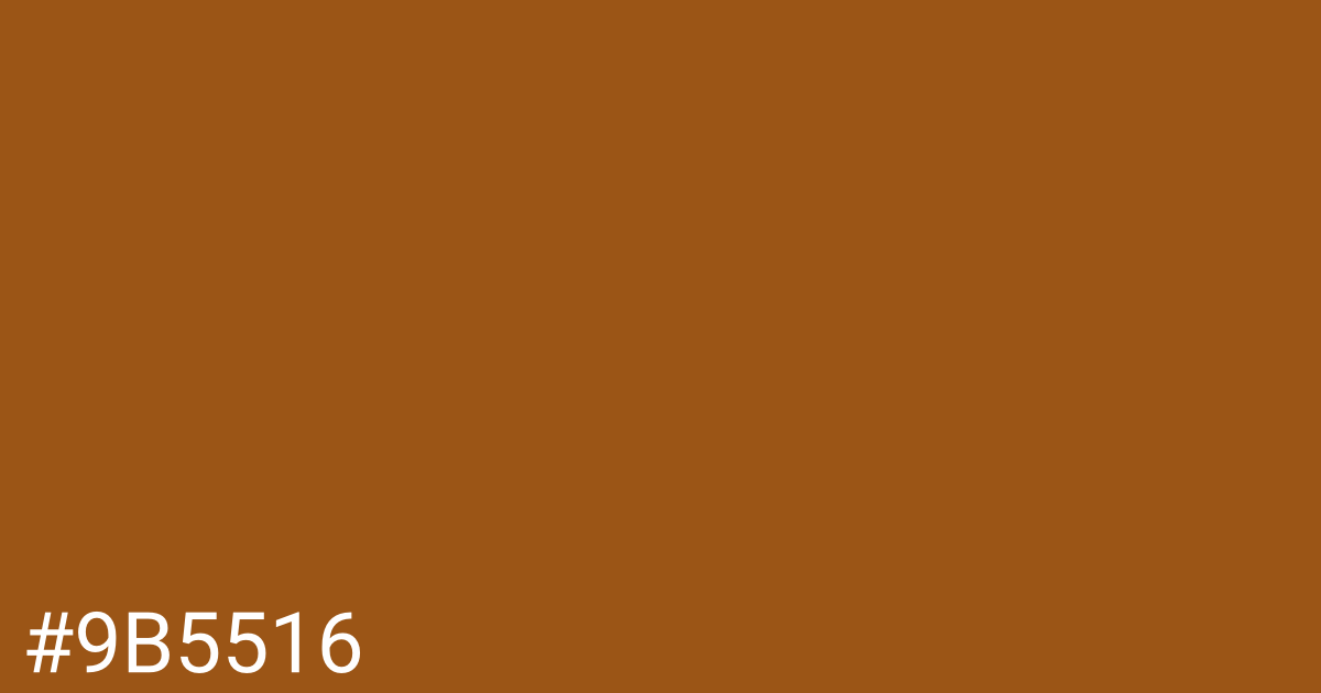 Hex color #9b5516 graphic