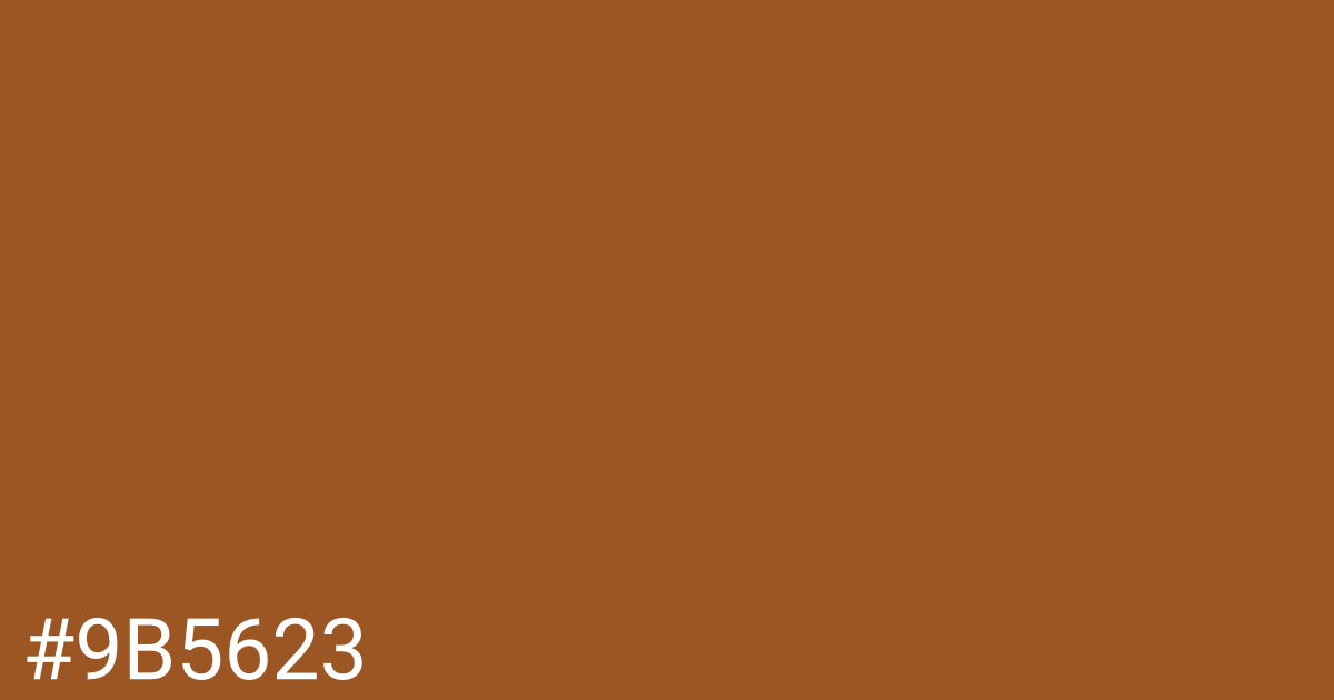 Hex color #9b5623 graphic